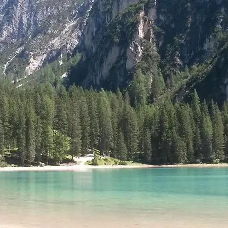 Margiola